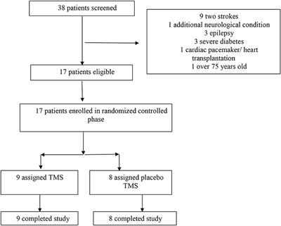 Combining rTMS With Intensive Language-Action Therapy in Chronic Aphasia: A Randomized Controlled Trial